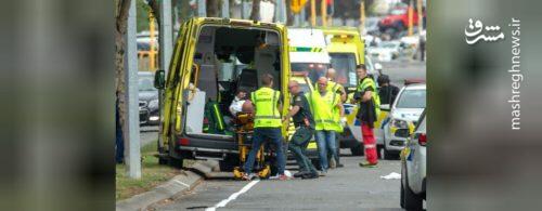 بی هویت پلشت کیست؟