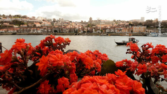 عکس/ رودهای زیبای جهان