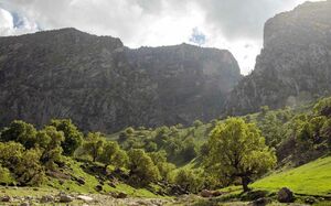 کبیر کوه