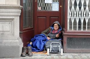 بی‌خانمان نمایه