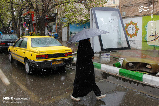 عکس/ بارش برف بهاری در تبریز