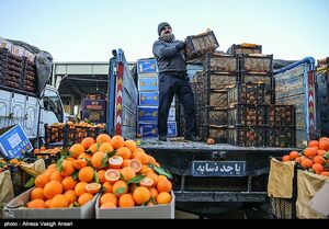 میزان تفاوت قیمت‌ میوه در میادین تره‌بار با سطح شهر