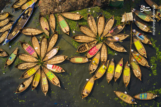 عکس/ نمایی زیبا از دورهمی قایق‌های چوبی