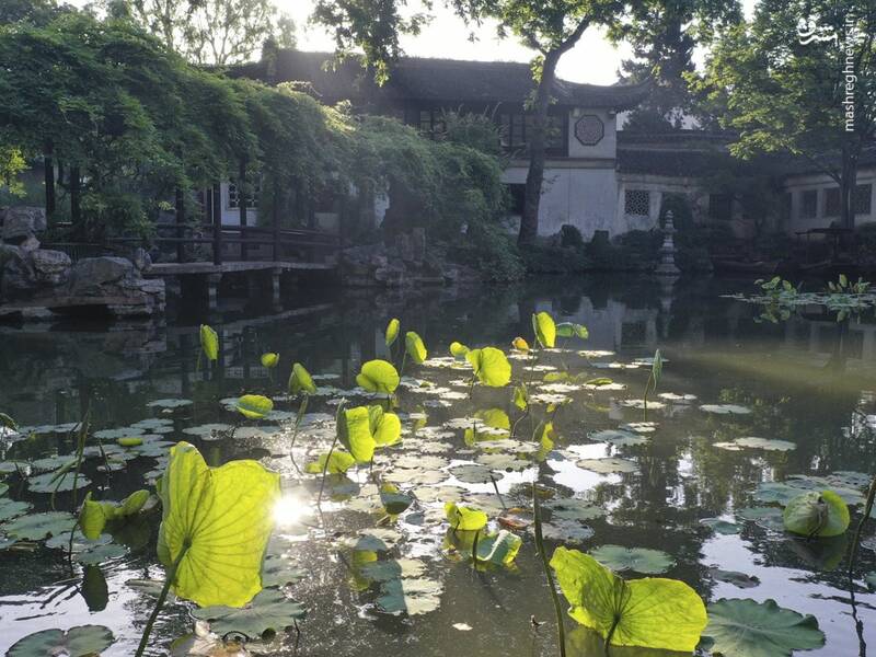 Зеленый китай. Гусу провинция Цзянсу. Jiangsu Китай. Река Гусу провинция Цзянсу.