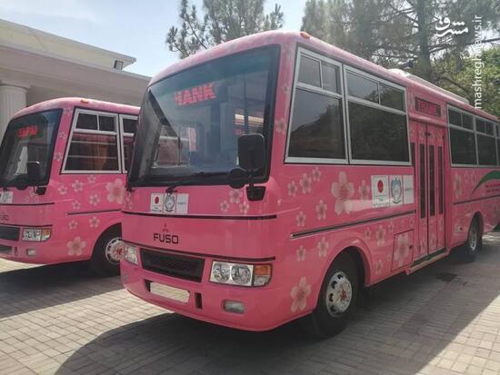 عکس/ اتوبوس صورتی ویژه بانوان