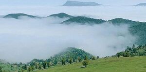 عکس/ نمایی بکر از جنگل ابر در شاهرود