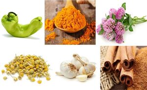 بهترین داروی گیاهی برای پوست گیاه دارویی نمایه