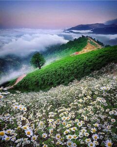 ماسال،گیلان،ایران