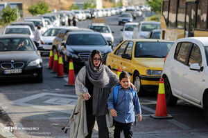 شور و شوق شکوفه های شهر