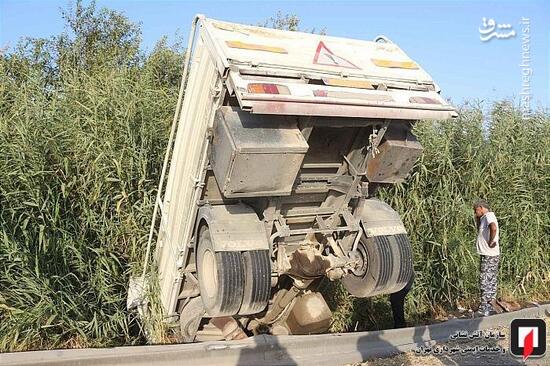 عکس/ سقوط کامیونت به داخل نی‌زار