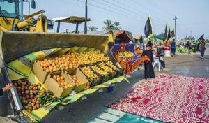 تصویر جالب از پذیرایی زائران حسینی(ع)