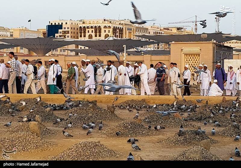 عکس قبرستان بقیع امام حسن مجتبی