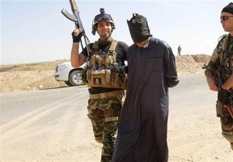 دستگیری یک تروریست داعشی تحت پیگرد در الانبار