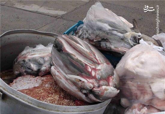 فیلم/ کِرم زنده در غذای رستوران!