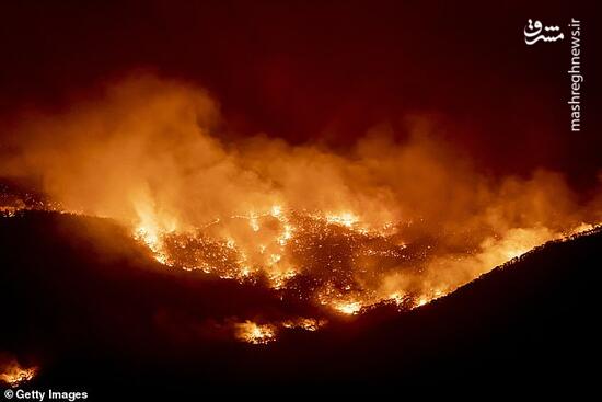 فیلم/ آتش در اراضی جنگلی در گیلان