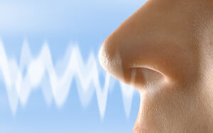 حس بویایی بیماران کرونایی چگونه باز می گردد؟