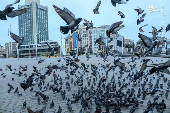 عکس/ سکوت استانبول