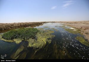 تالاب گاوخونی اصفهان را ببینید