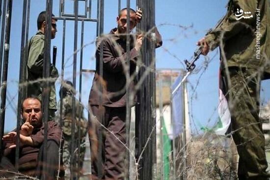 ۹۵ درصد اسرای فلسطینی شکنجه می‌شوند