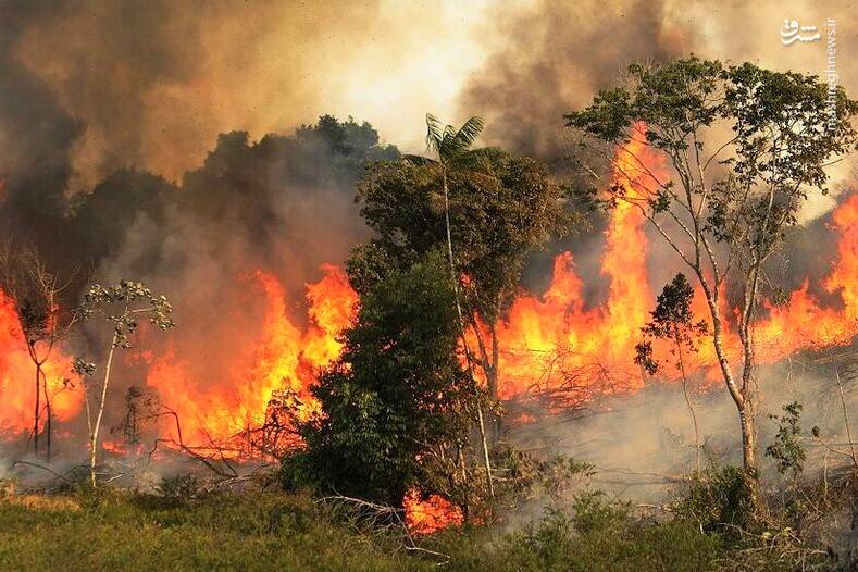فیلم/ ادامه آتش‌سوزی جنگل‌ها و مراتع کهگیلویه
