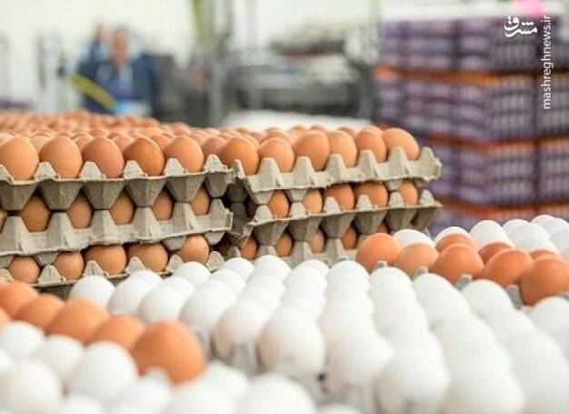 قیمت مصوب تخم‌مرغ افزایش یافت