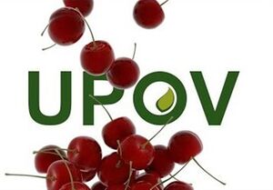 جزییات الحاق به کنوانسیون UPOV +فیلم