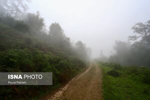 تصاویر دیدنی از روستایی ییلاقی درغرب گیلان