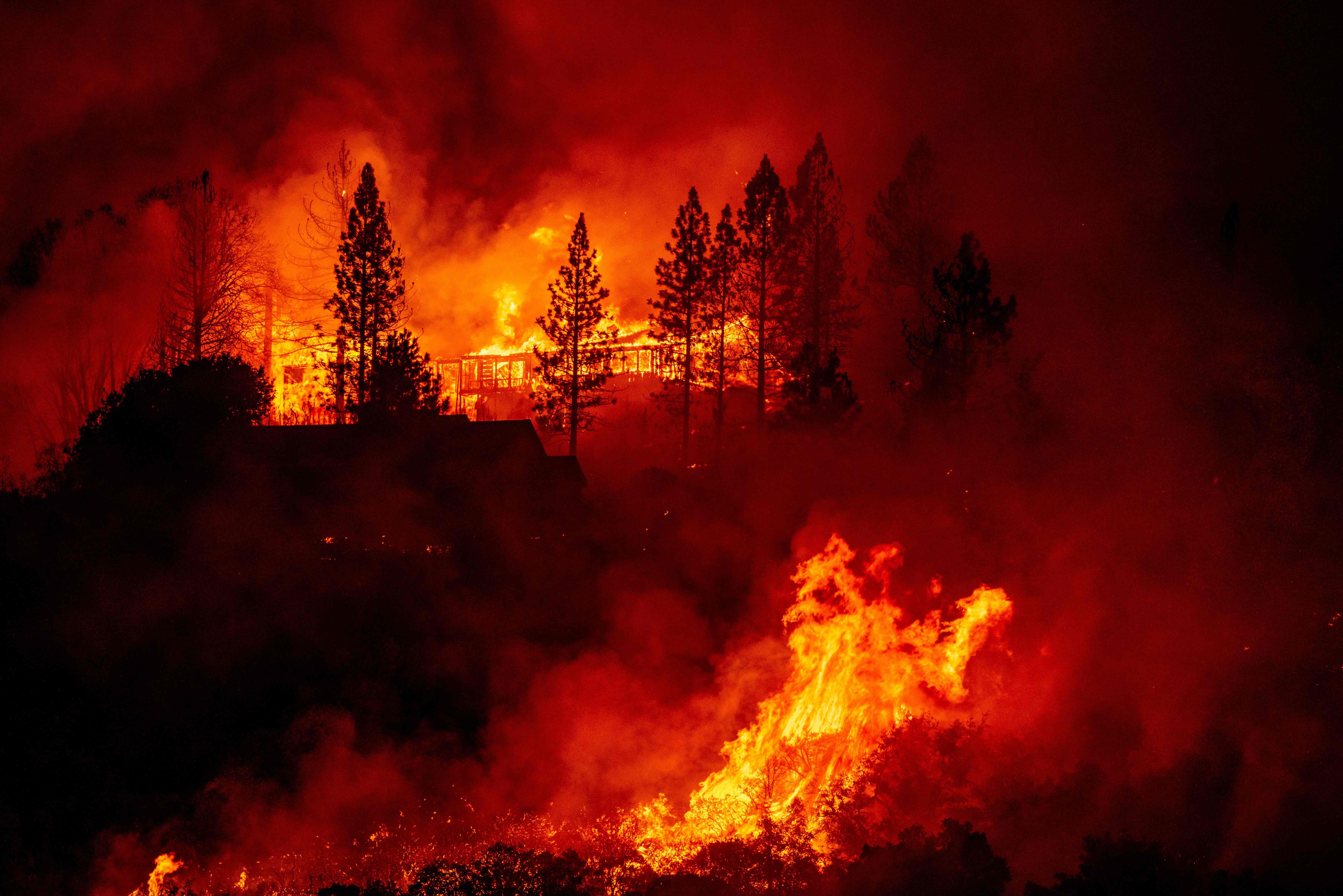 После сильного пожара. Лесные пожары. Страшный Лесной пожар. Лес в огне. Сильный пожар в лесу.
