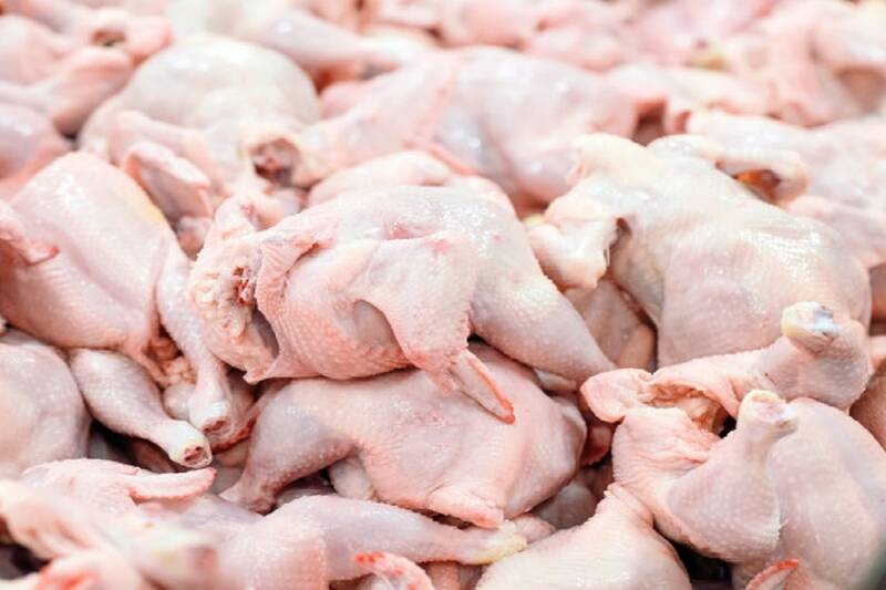 فیلم/ هشدار تعزیرات درباره گرانفروشی مرغ