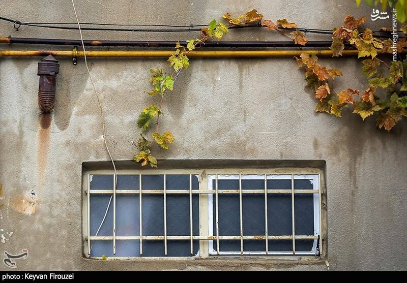 عکس/ بارش باران پاییزی در سنندج