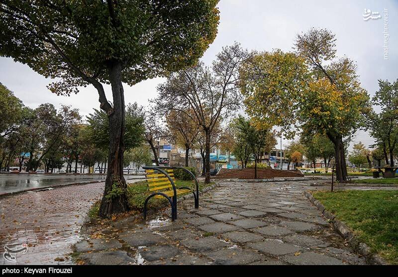 عکس/ بارش باران پاییزی در سنندج