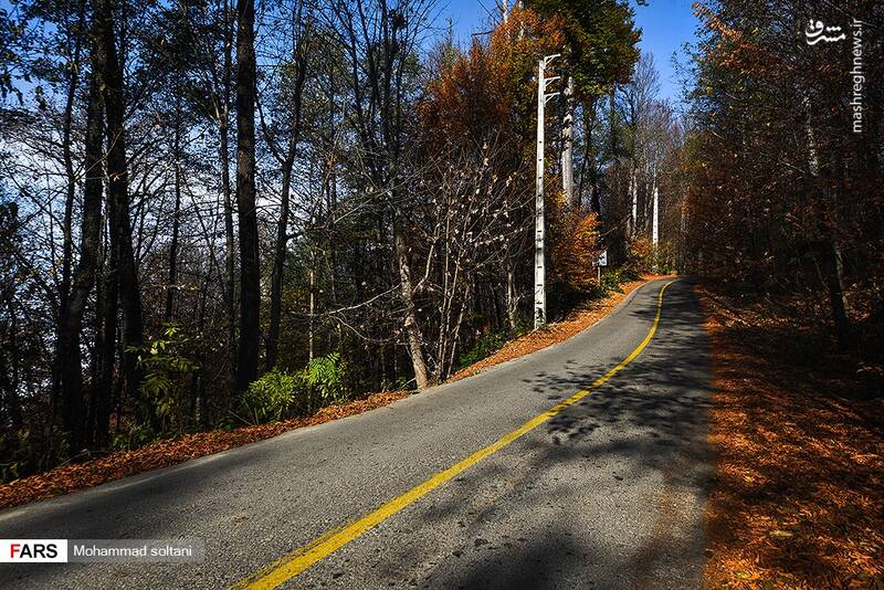 فصل خزان تماشایی مازندران