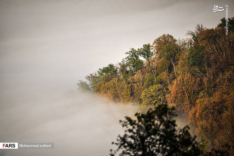 فصل خزان تماشایی مازندران
