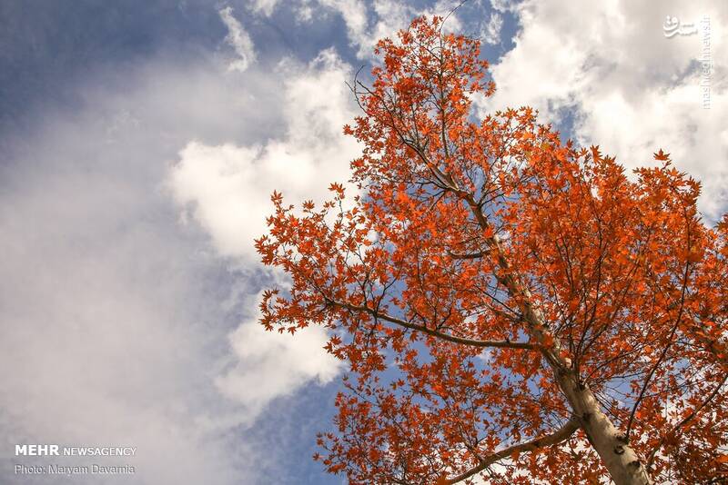 زیباترین تصاویر پاییزی ایران