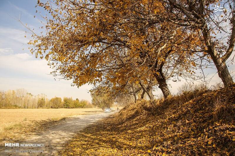 زیباترین تصاویر پاییزی ایران