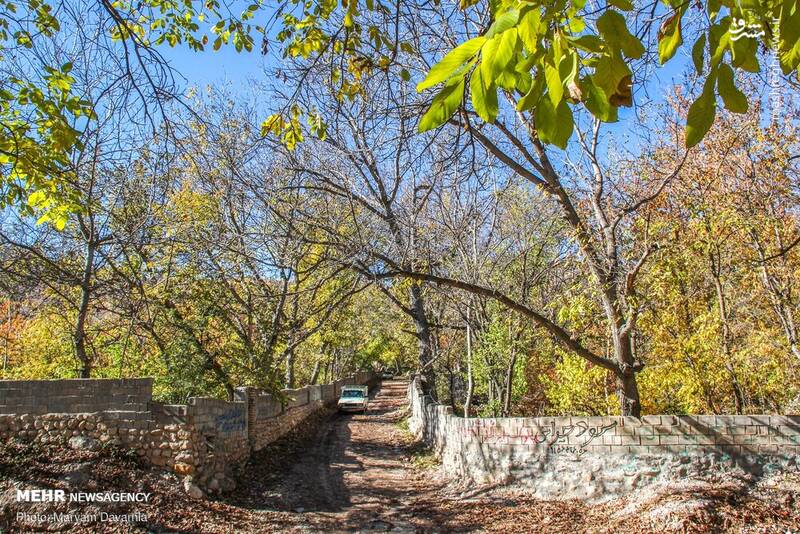 زیباترین تصاویر پاییزی ایران