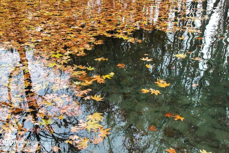 زیباترین تصاویر پاییزی ایران