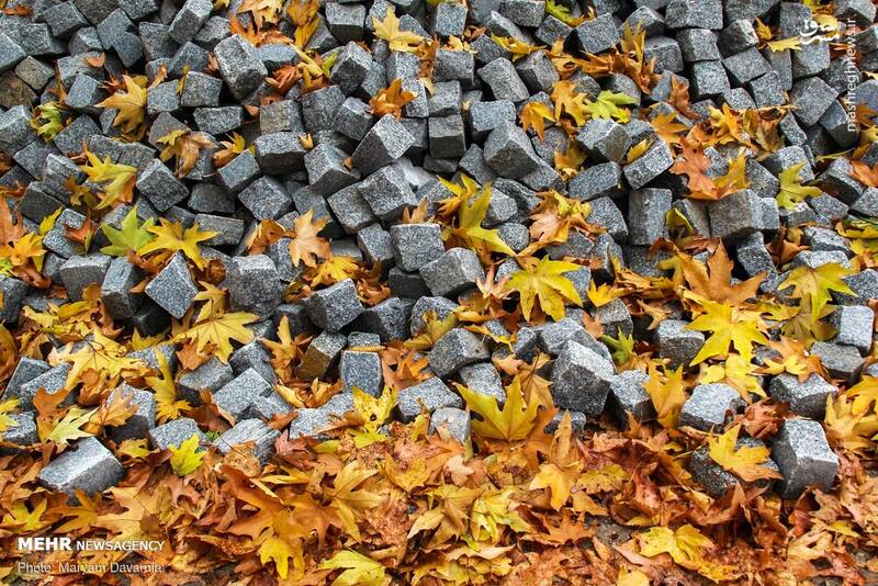 زیباترین تصاویر پاییزی ایران