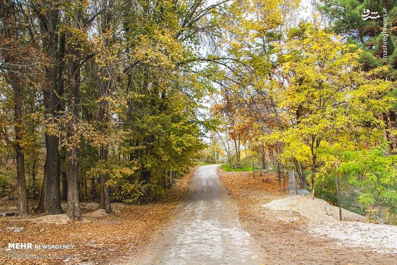 زیباترین تصاویر پاییزی ایران