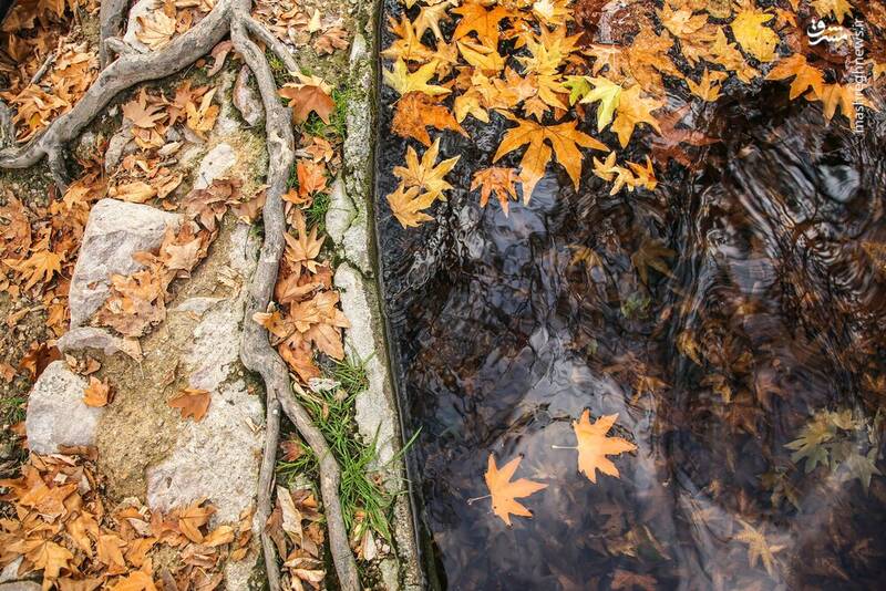 زیباترین تصاویر پاییزی ایران