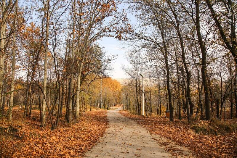 زیباترین تصاویر پاییزی ایران