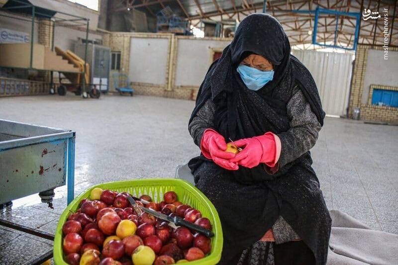 بزنگاه،دانيال،غيرت