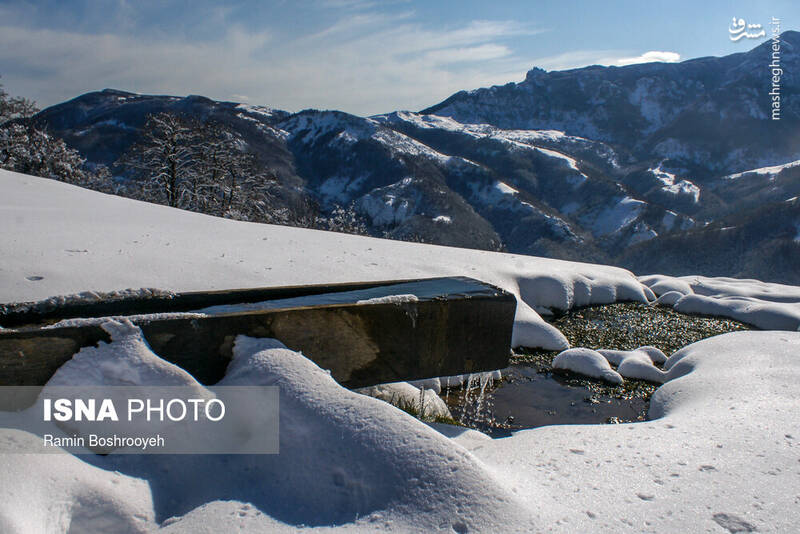 عکس/ زمستان در شمالی‌ترین «موزه طبیعی» ایران