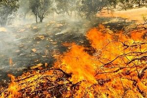 مهار آتش گردنه حیران در داخل مرز ایران/ جنگلهای سمت آذربایجان کماکان در آتش میسوزد مهار آتش گردنه حیران در داخل مرز ایران/ جنگلهای سمت آذربایجان کماکان در آتش میسوزد - کراپشده