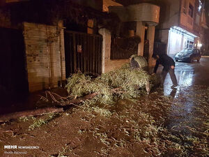 عکس/ خسارات وزش باد شدید در شیراز