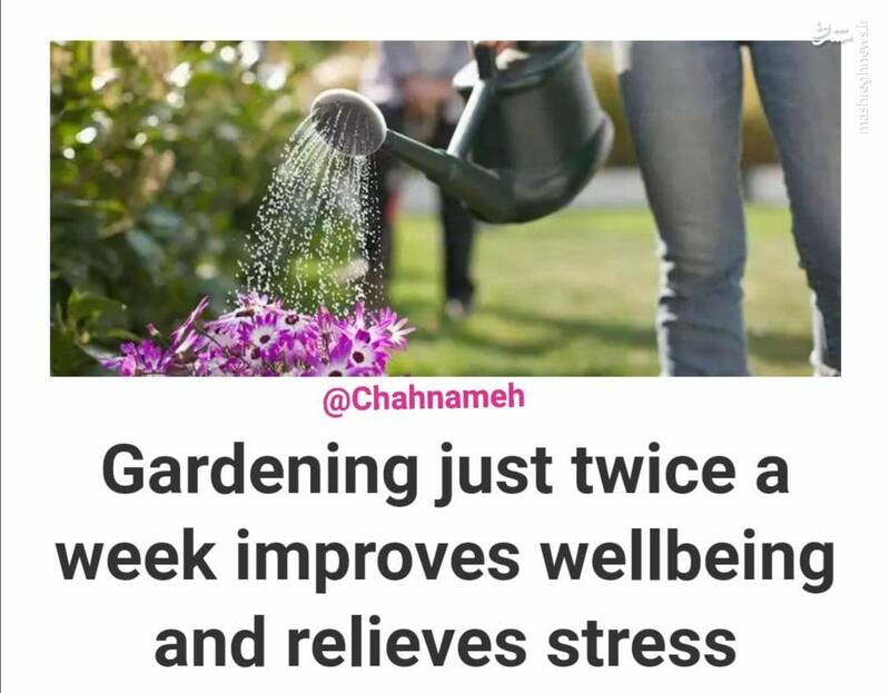تاثیرات جالب باغبانی بر سلامتی و استرس افراد
