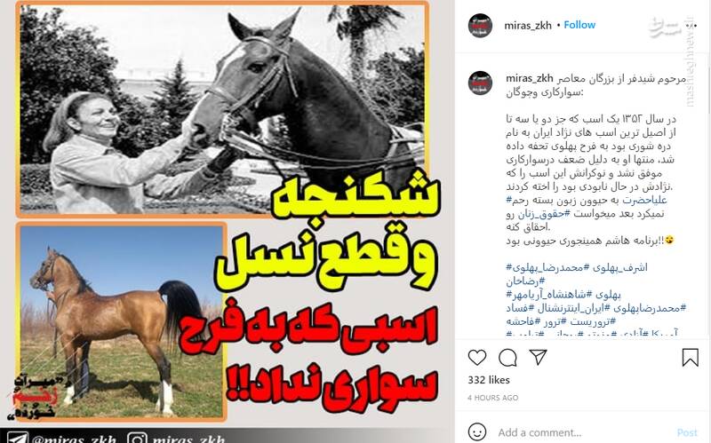 ماجرای شکنجه و قطع نسل اسبی که به فرح سواری نداد!