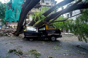 خسارت های طوفان در شهر بمبئی و ایالت گجرات هند
