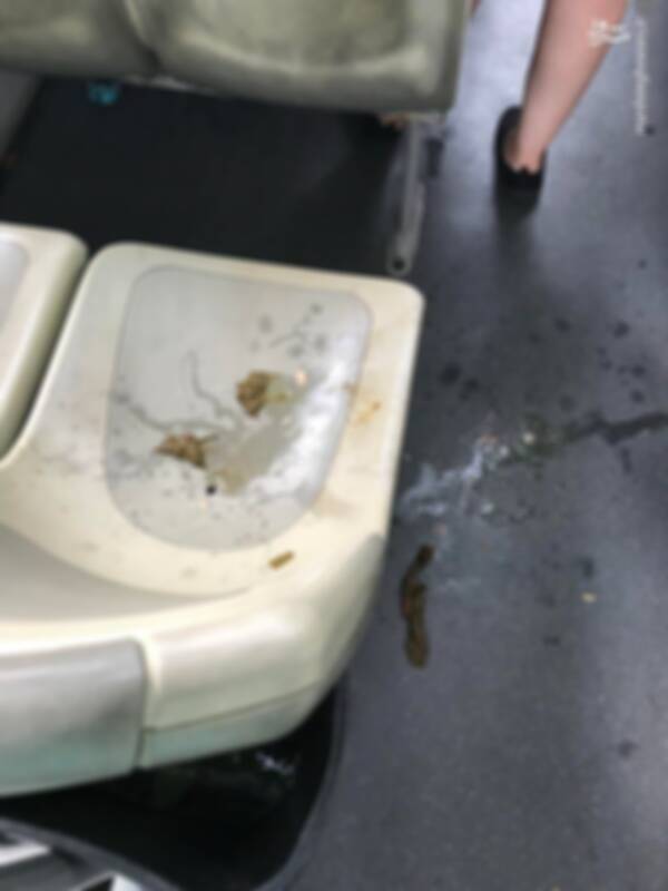 بابت انتشار این صحنه حال بهم زن معذرت میخوام!+ عکس