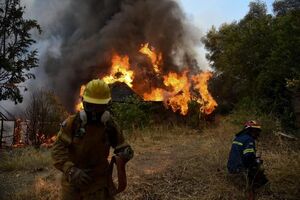 فیلم/ بحران اقلیمی جهان؛ آتش‌سوزی گسترده در سواحل یونان